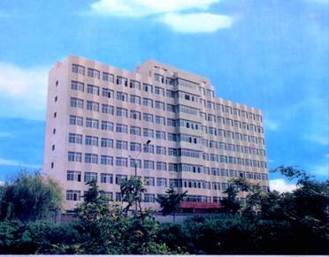 中国电子钻研所